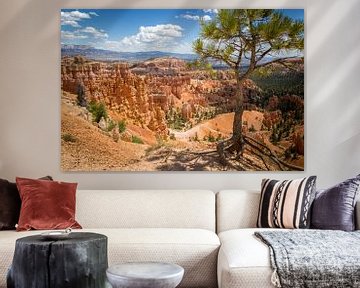Bryce Canyon National Park von Jeffrey Van Zandbeek
