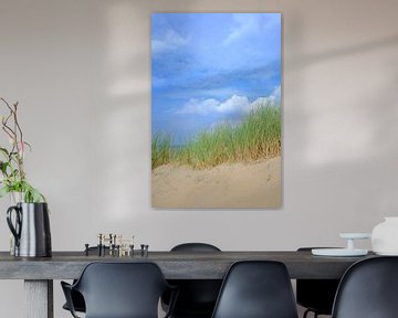 Zomer in de duinen bij het Noordzee strand