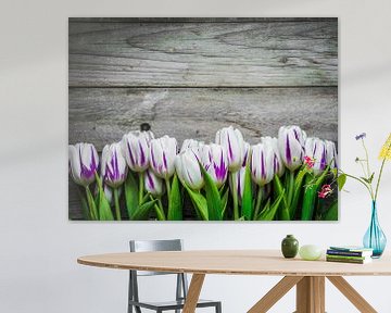 wit-paarse tulpen voor een witte achtergrond van BeeldigBeeld Food & Lifestyle