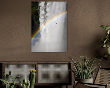 Seagull and rainbow at the waterfall