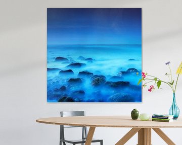 Blue on the rocks