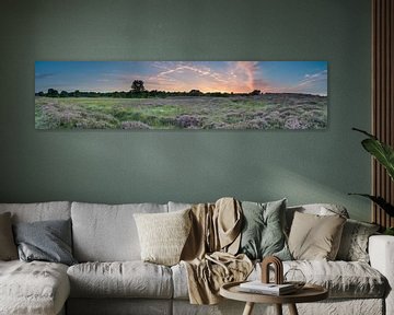 Panoramisch beeld van de Gasterse duinen van Harry Kors