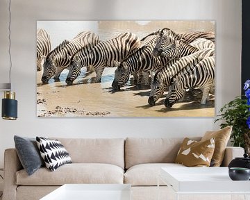 Two cuddling zebras in a drinking group sur Bas Ronteltap