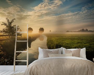 Dutch landscape with morning fog by Ilya Korzelius