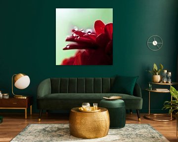 Die Schönheit nach einem regnerischen Tag. von Jorn van Hezik