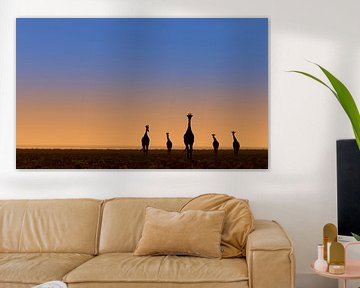 Vijf giraffes voor zonsopkomst van Bas Ronteltap