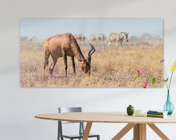 Rood hartenbeest op de savanne met zebra's op de achtergrond van Bas Ronteltap