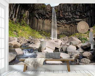Svartifoss waterfall Iceland by Menno Schaefer