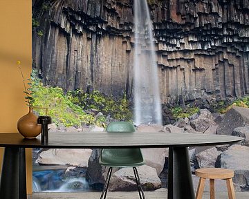 Svartifoss waterfall Iceland by Menno Schaefer