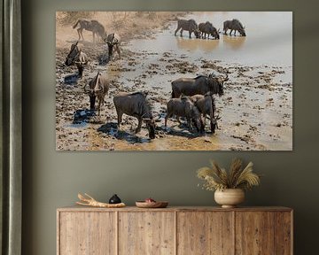 Thirsty herd of wildebeest arrives at a waterhole sur Bas Ronteltap