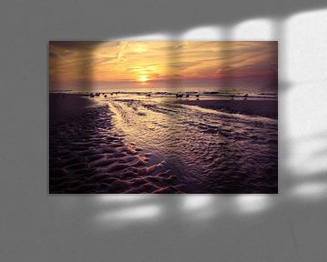 meeuwen op het strand bij Domburg ( zonsondergang)  von Els Fonteine
