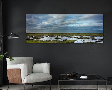 Panorama of a salt marsh landscape in Groningen