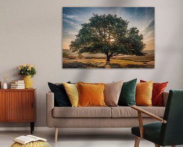 De glorieuze boom van Peter Bijsterveld
