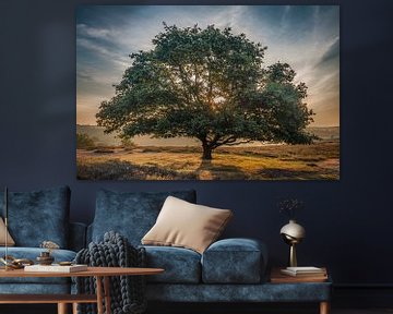 De glorieuze boom van Peter Bijsterveld