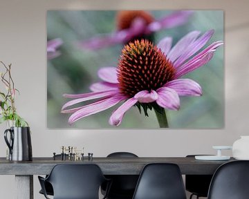 Echinacea Purpurea van Mario Brussé Fotografie