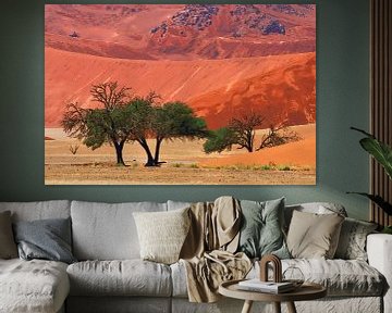 SOSSUSVLEI DESERT Namib - sossusvlei woestijn met bomen van Bernd Hoyen