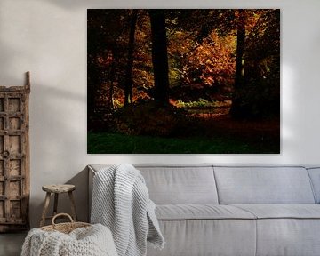 dunkler Wald
