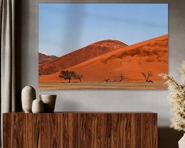 SOSSUSVLEI DESERT Namib - the desert birds by Bernd Hoyen