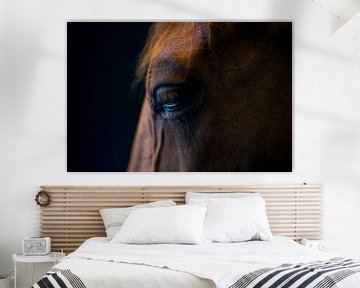 Overdenking (portret van een paard)