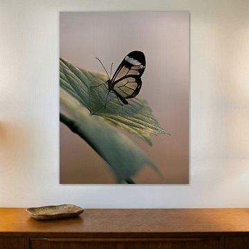 Glas Schmetterling