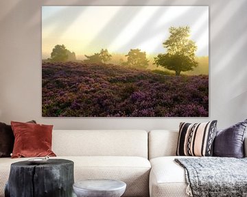 Les plantes rouges de Heather se développent dans le paysage de Heathland pendant le lever du soleil sur Sjoerd van der Wal Photographie