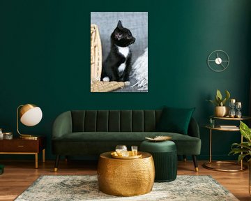 Zwartwit kitten op de grijze bank met rieten mand van Christa Krus