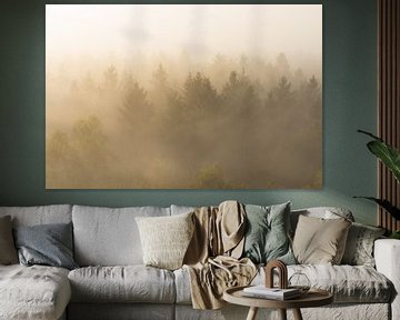 Naaldbomen in de mist von Elroy Spelbos