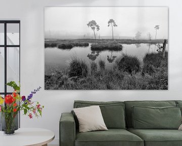 Vennen landschap monochroom van Elroy Spelbos Fotografie