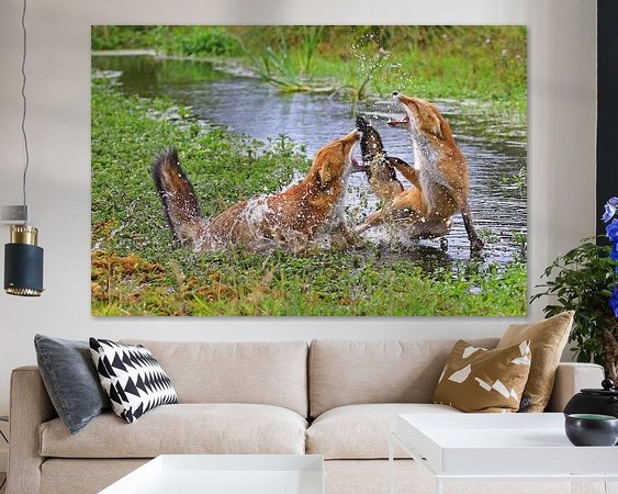 Aperçu de la chambre