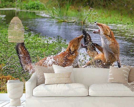 Aperçu de la chambre