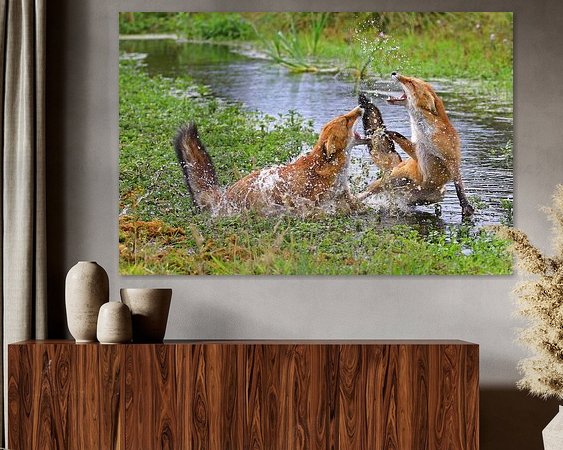 Aperçu de la chambre