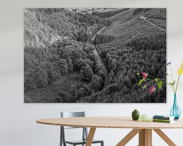 Weg door de heuvels van Elroy Spelbos Fotografie