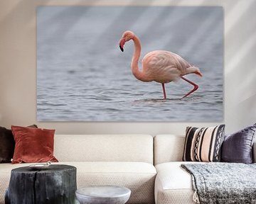 Flamingo in het Grevelingenmeer van Michel de Beer