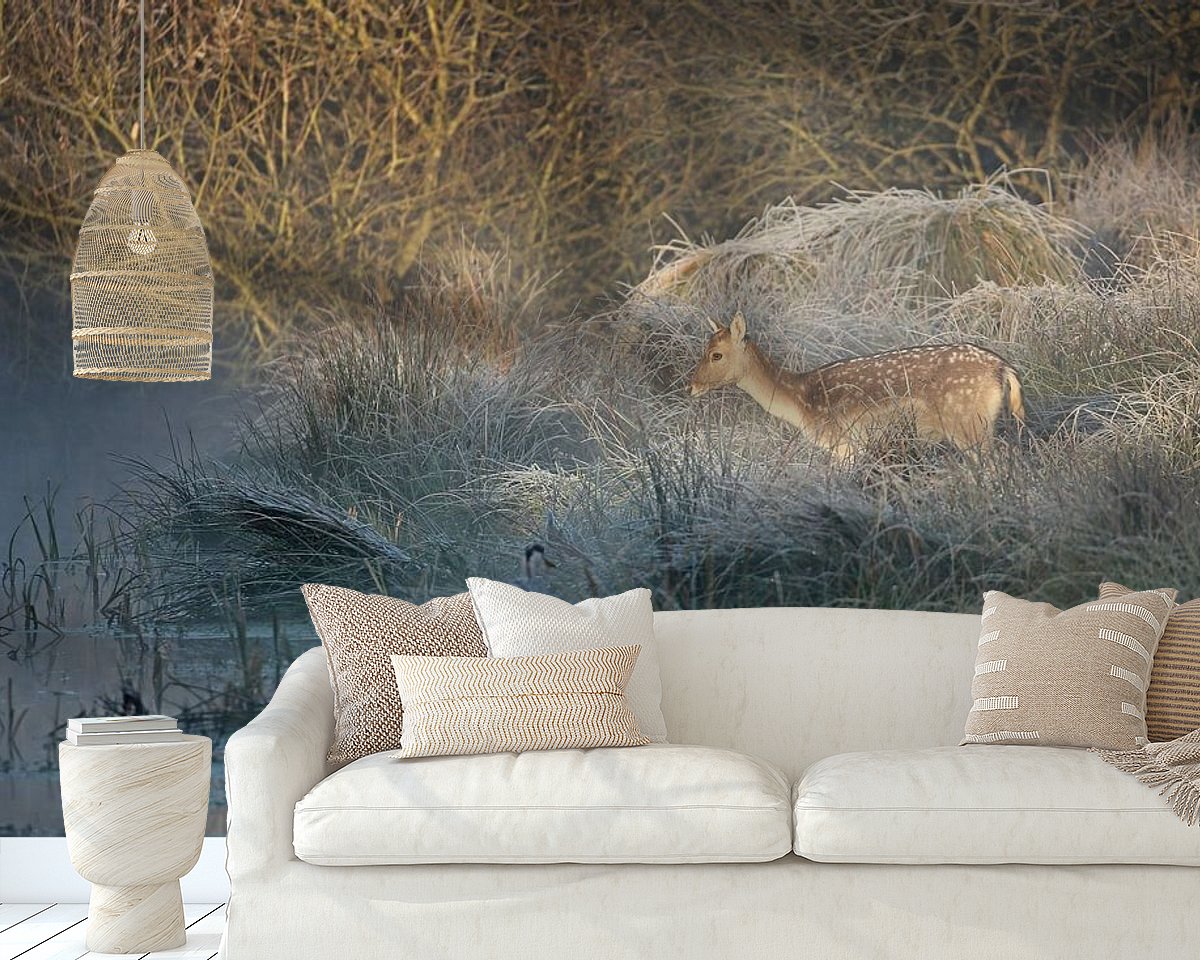 Raumvorschau