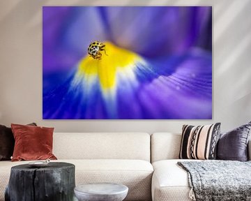 Citroenlieveheersbeestje op een blauwe iris van Carol Thoelen
