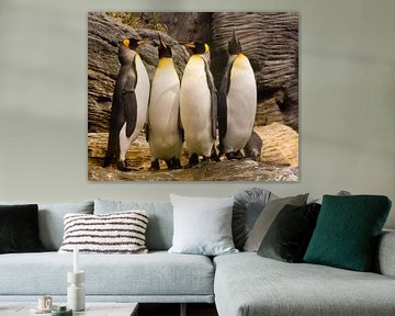 Koningspinguins von Jim van Iterson