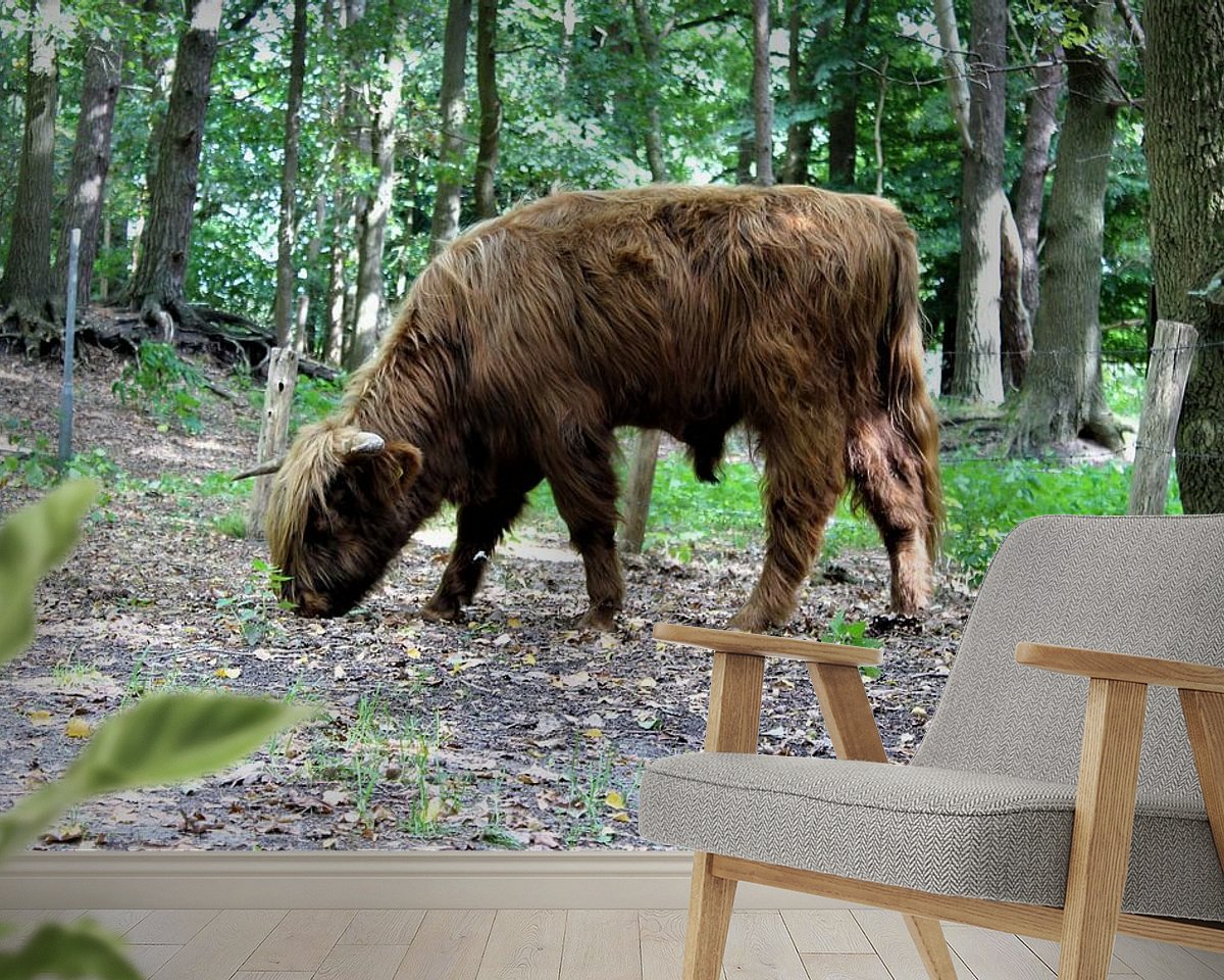 Raumvorschau