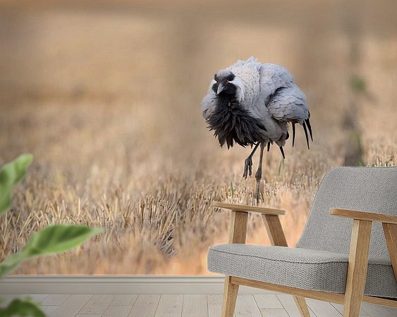 Raumvorschau