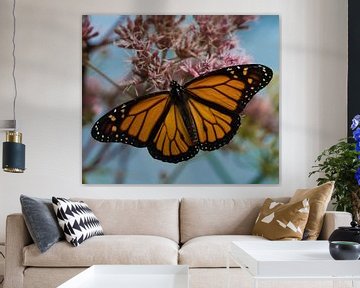 Monarch Vlinder van Ingrid Ronde