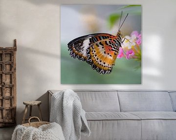 Cethiosa Biblis vlinder van Ingrid Ronde