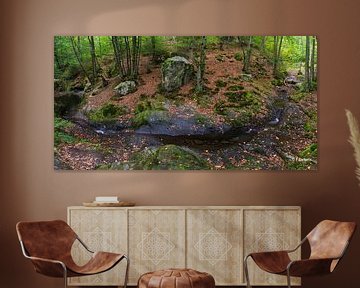 Ninglinspo forest panoramic by Francois Debets