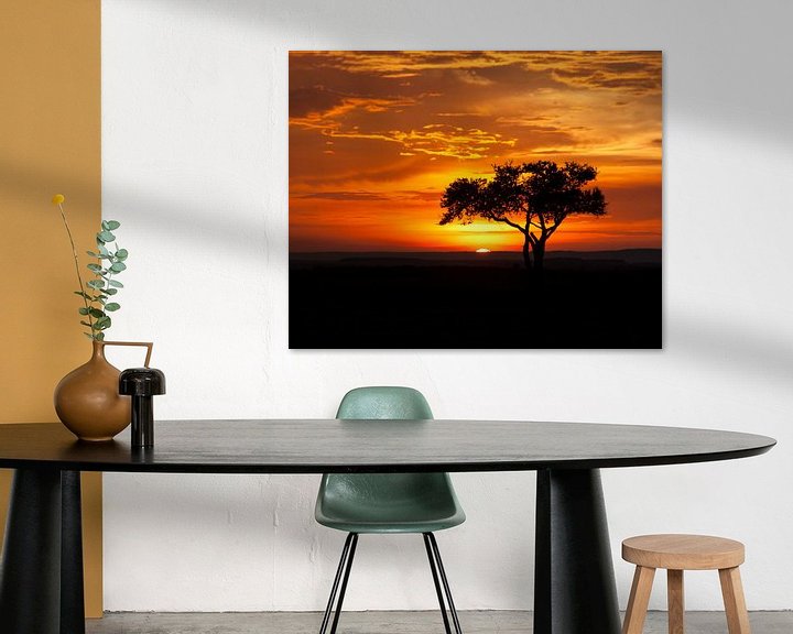 Sfeerimpressie: Acaciaboom bij zonsondergang. van Frans Gesell