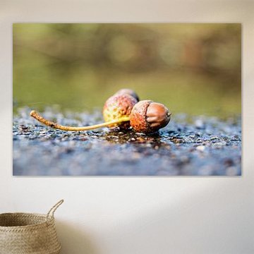 Begin van de herfst.....