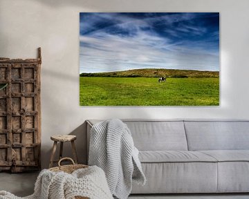Wijds Terschellings landschap: blauwe hemel, groen gras en 1 koe