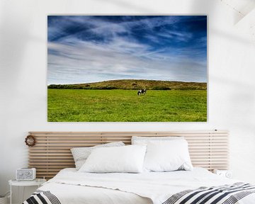 Wijds Terschellings landschap: blauwe hemel, groen gras en 1 koe van Paul Teixeira