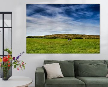 Wijds Terschellings landschap: blauwe hemel, groen gras en 1 koe van Paul Teixeira