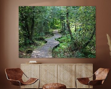 Avontuurlijk vlonderpad door rustgevend bos  by T. Berrevoet