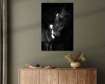 mare with foal by Mariska Hofman