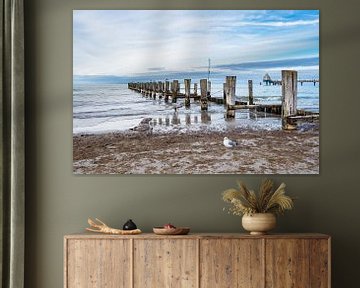 Groynes on shore of the Baltic Sea in Zingst sur Rico Ködder