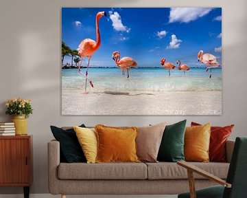 Flamingo's up close and personal  von Vivianne Molenaar-Seinen